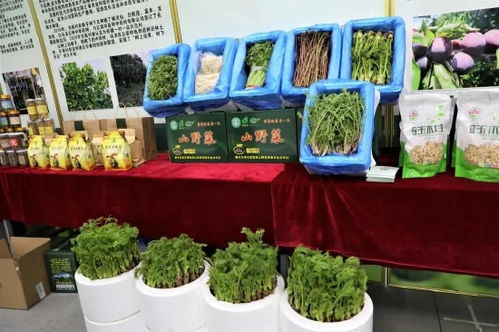 吉林有約 全民做冬丨探冬捕風(fēng)情，逛年貨盛會，盡享農(nóng)副土特產(chǎn)品